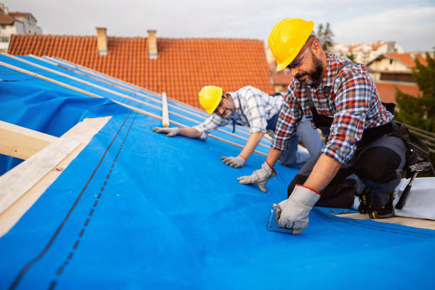 Best Metal Roofing Contractor  in Falling Water, TN